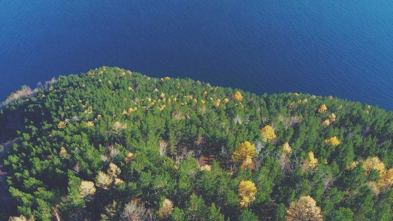 Featured image for Clawgo Net article