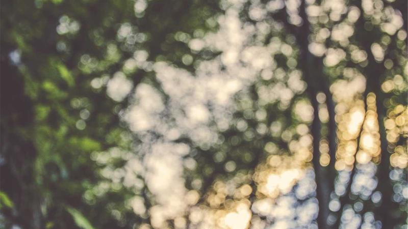 Featured image for Clawgo Net article