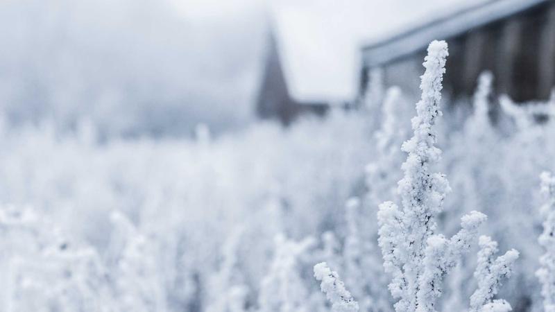 Featured image for Clawgo Net article