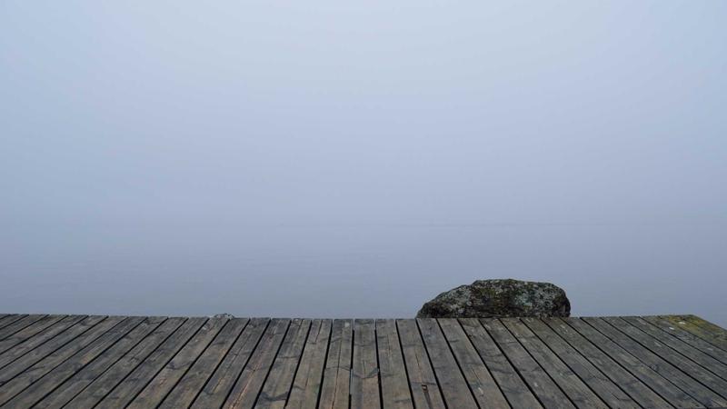 Featured image for Clawgo Net article