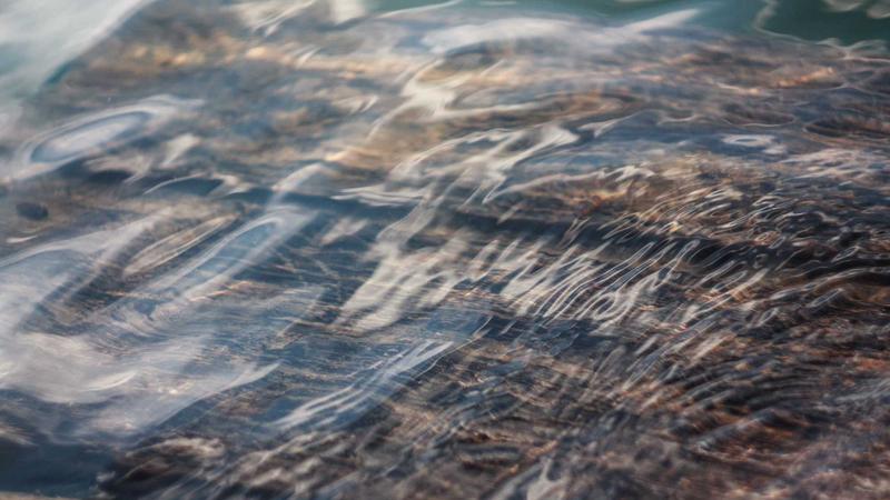 Featured image for Clawgo Net article