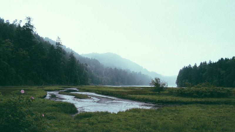 Featured image for Clawgo Net article