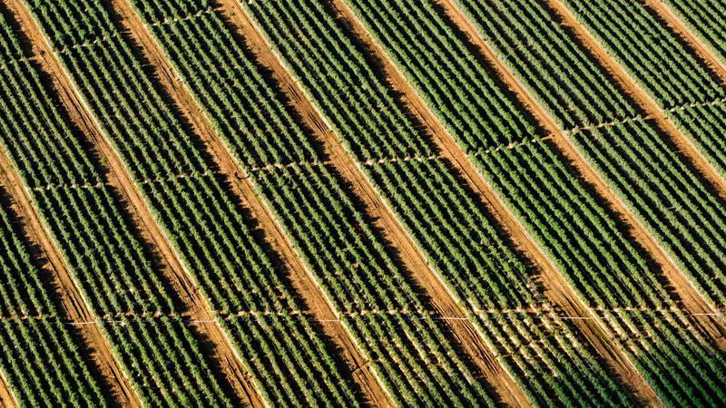 Featured image for Clawgo Net article