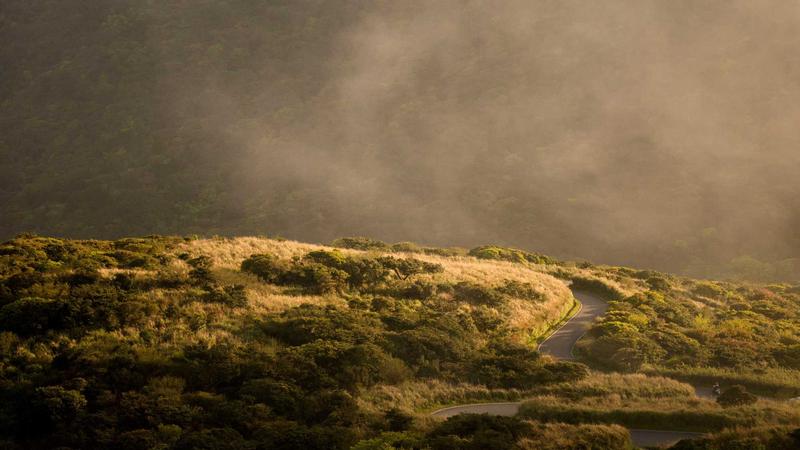 Featured image for Clawgo Net article