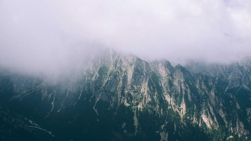 Featured image for Clawgo Net article