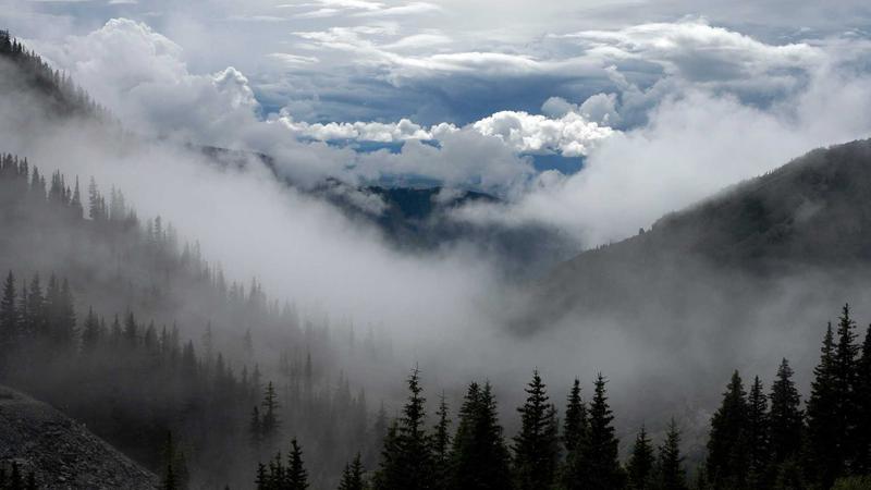 Featured image for Clawgo Net article