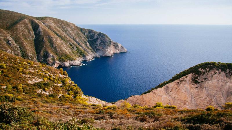 Featured image for Clawgo Net article