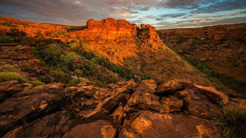 Featured image for Clawgo Net article