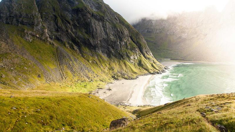 Featured image for Clawgo Net article