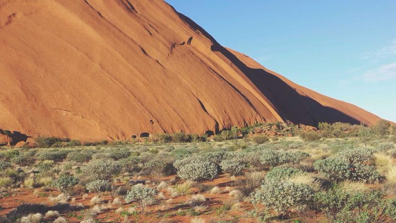 Featured image for Clawgo Net article