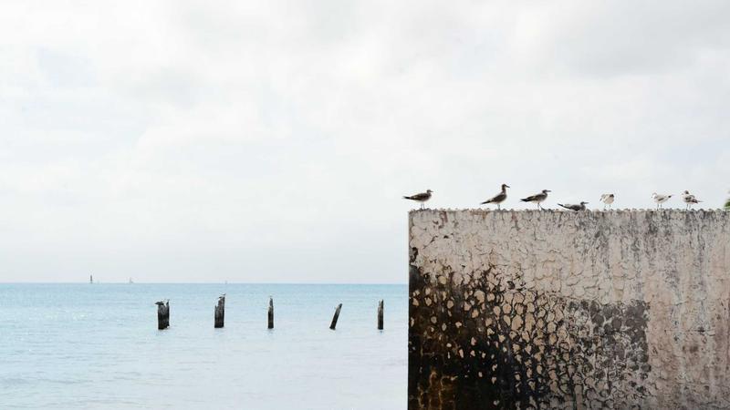 Featured image for Clawgo Net article