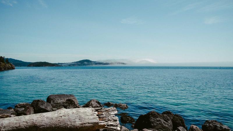 Featured image for Clawgo Net article