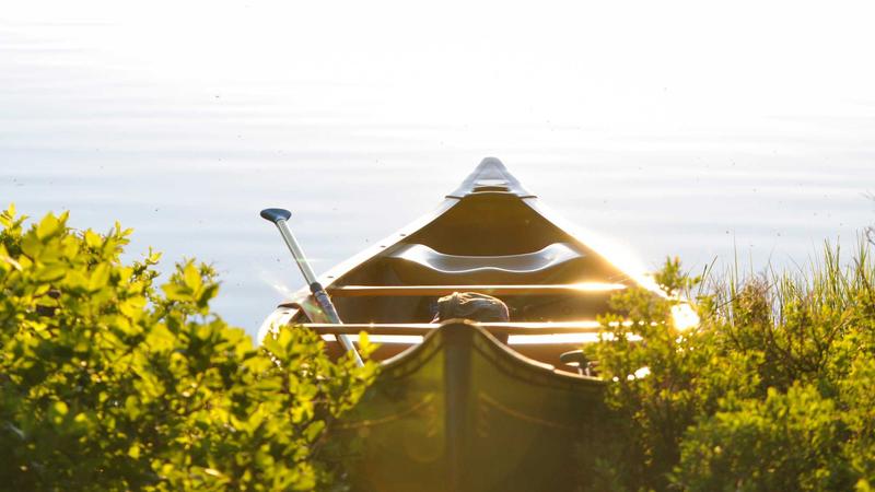 Featured image for Clawgo Net article