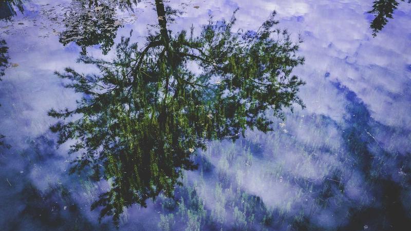 Featured image for Clawgo Net article