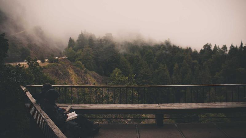 Featured image for Clawgo Net article