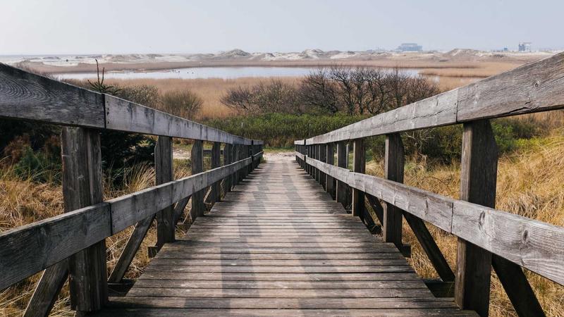 Featured image for Clawgo Net article