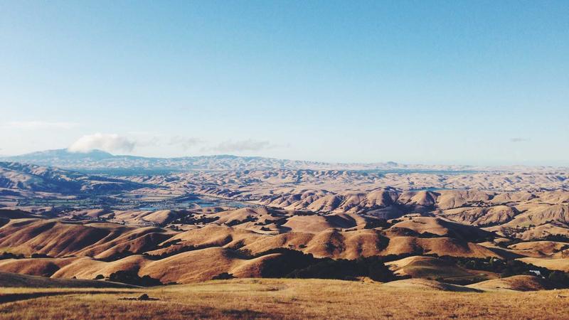 Featured image for Clawgo Net article