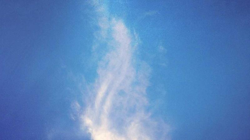 Featured image for Clawgo Net article