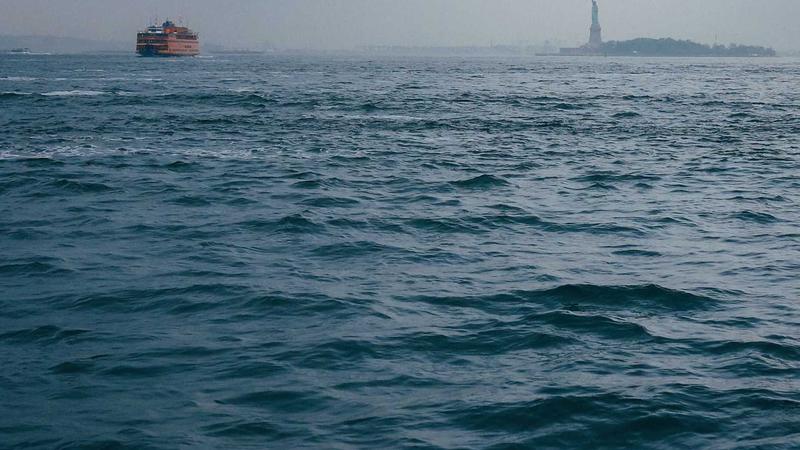 Featured image for Clawgo Net article