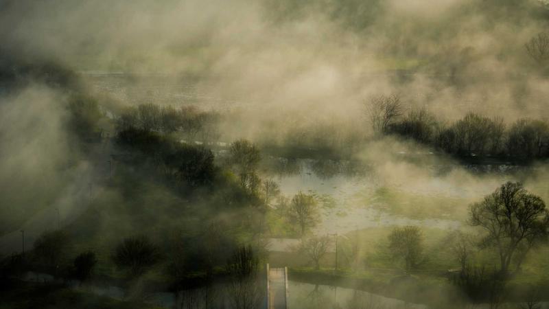 Featured image for Clawgo Net article