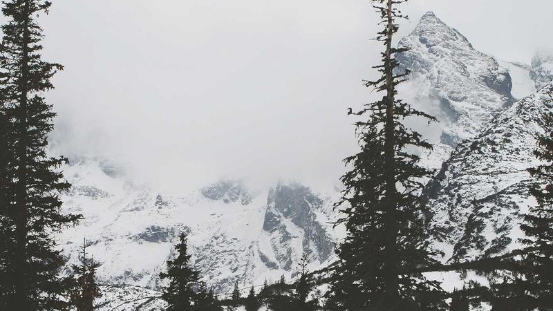 Featured image for Clawgo Net article