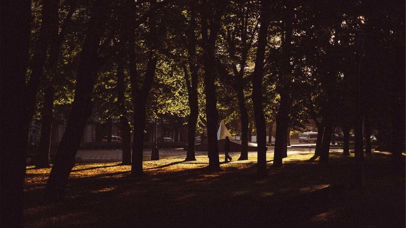 Featured image for Clawgo Net article