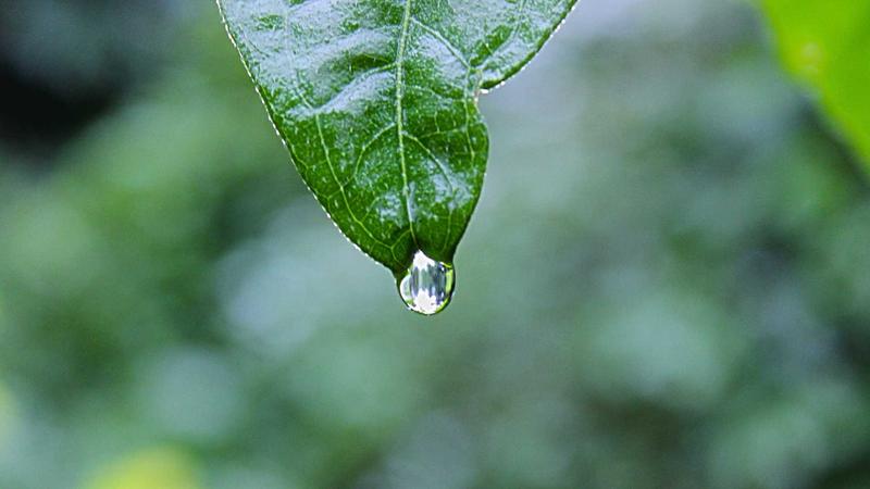 Featured image for Clawgo Net article