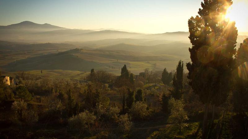 Featured image for Clawgo Net article