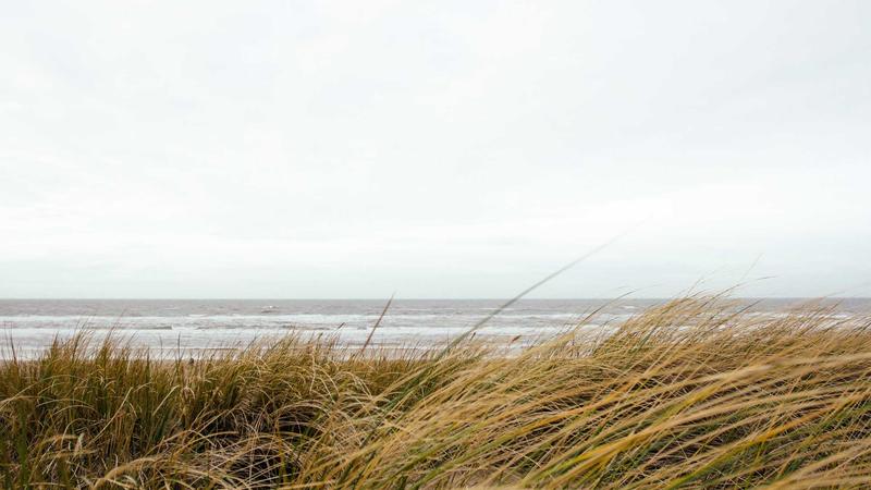 Featured image for Clawgo Net article